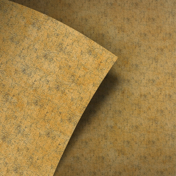 Rajna